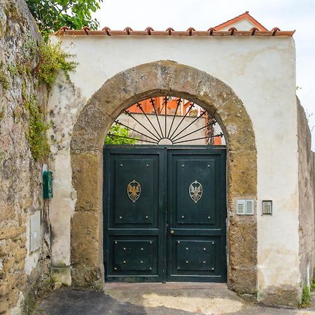 La Terrazza Sul Giardino Διαμέρισμα Προτσίντα Εξωτερικό φωτογραφία