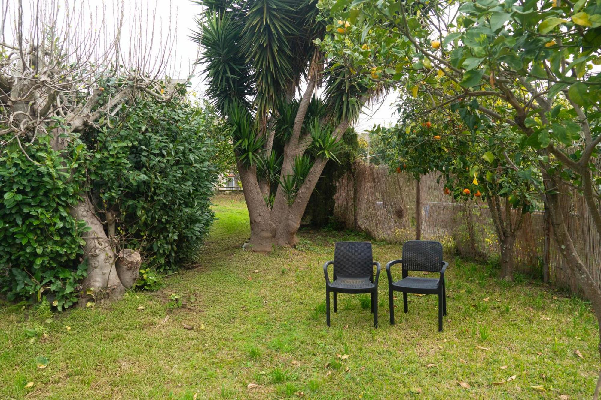 La Terrazza Sul Giardino Διαμέρισμα Προτσίντα Εξωτερικό φωτογραφία